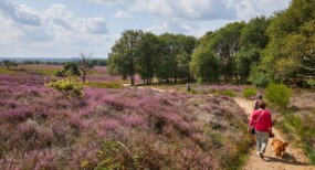 https://www.iederewctelt.nl/content/uploads/sites/3/2021/06/shutterstock_1484425688-heide-wandelen-1024x683-1-285x154.jpg